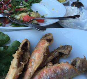 Deniz Restaurant Eski Foca Izmir